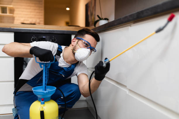 Professional Pest Control in Redmond, WA