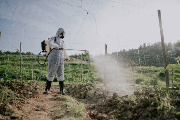 Best Commercial Pest Control Services  in Redmond, WA