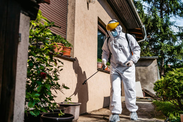 Best Exterminator Services  in Redmond, WA