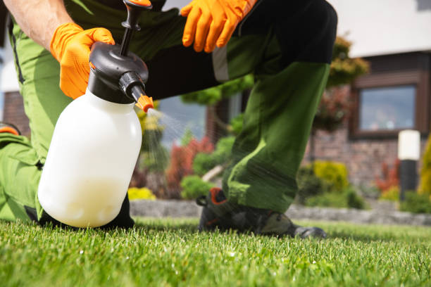 Best Bird Control  in Redmond, WA