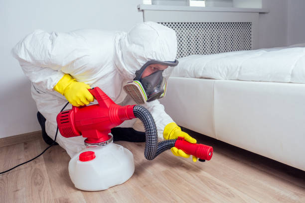 Best Pest Control Near Me  in Redmond, WA