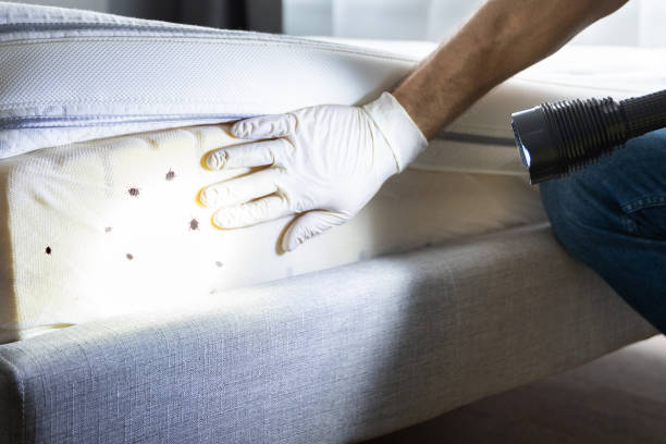 Best Best Pest Control Companies  in Redmond, WA