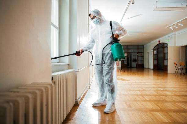 Best Insect Control  in Redmond, WA